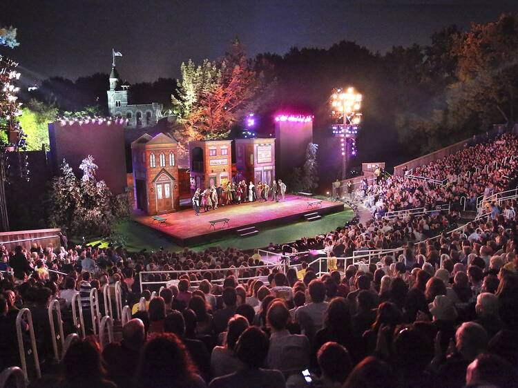 Hamlet is coming to Shakespeare in the Park