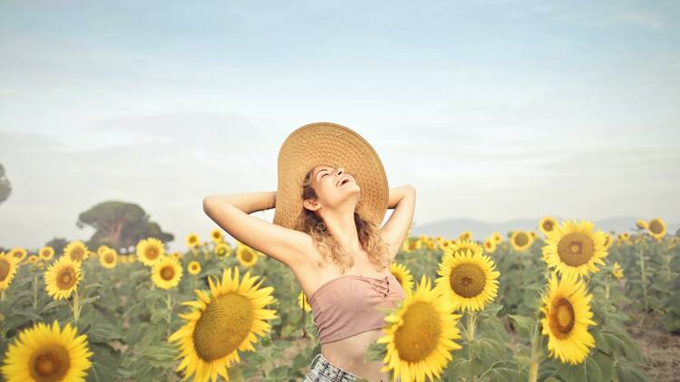 A woman in a field of sunflowers.