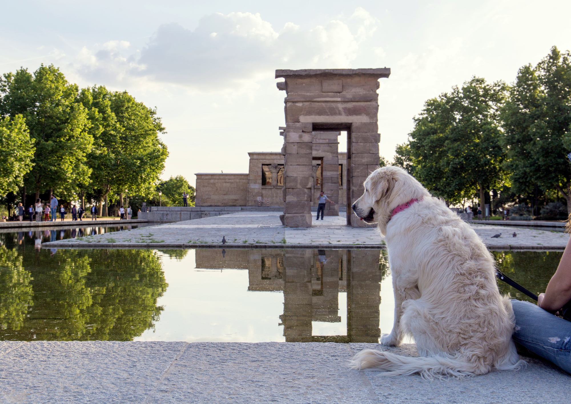11 parques que los perros adoran en Madrid