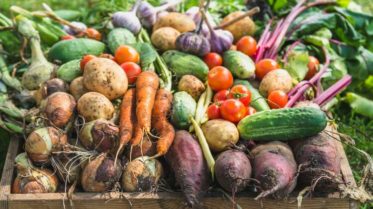 Inseguridad Alimentaria y Nutricional y Pobreza 