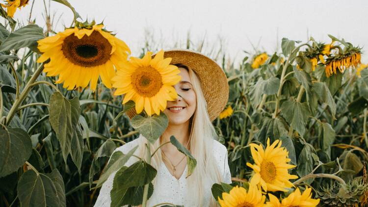a woman standing in a sunflower field