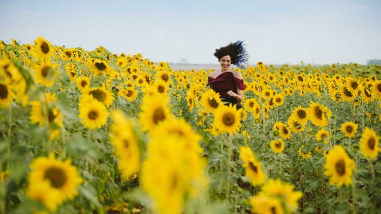 a woman standing in a sunflower field