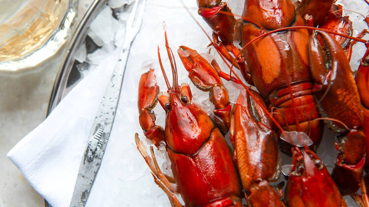 Lobster on ice at cutler and co.