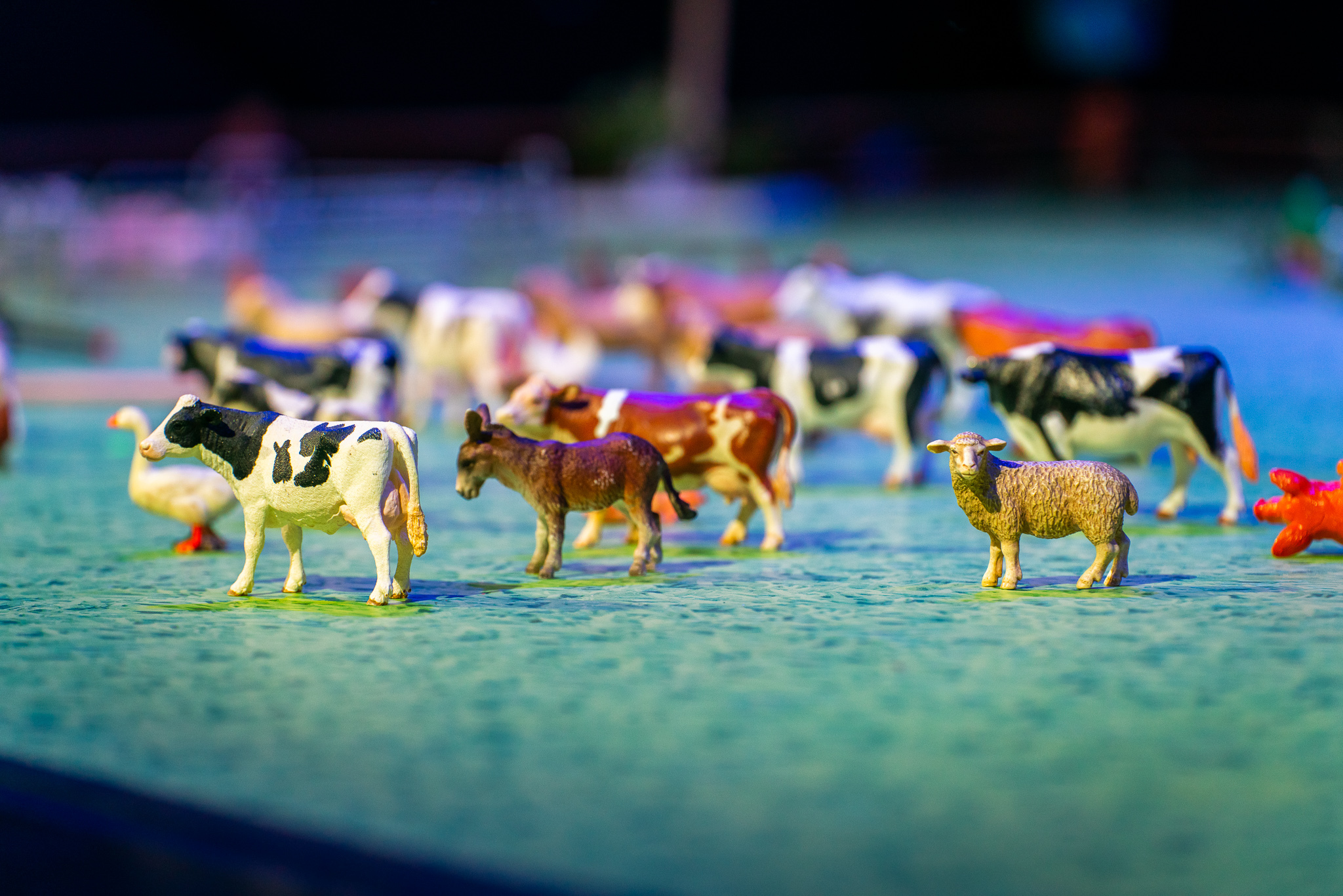 animais em miniatura