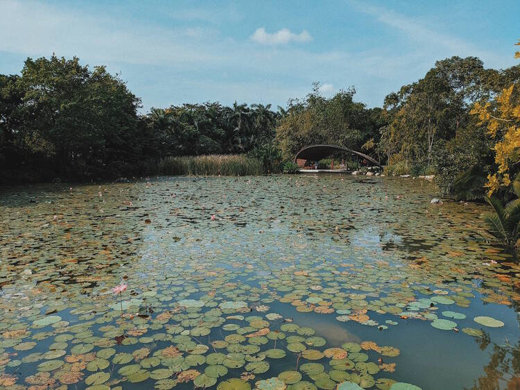 Gardens by the Bay