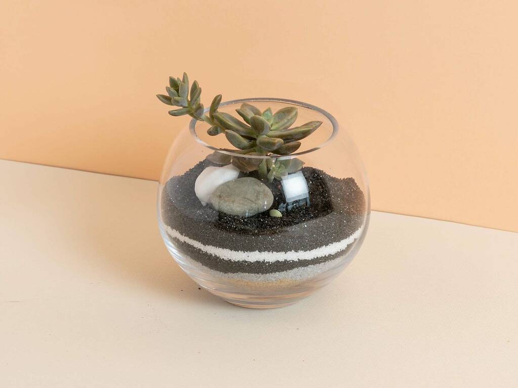 The Best Flower Delivery Services in Melbourne Online Florists 2024