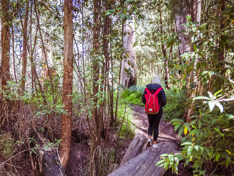 Number One Camp, Clonbinane