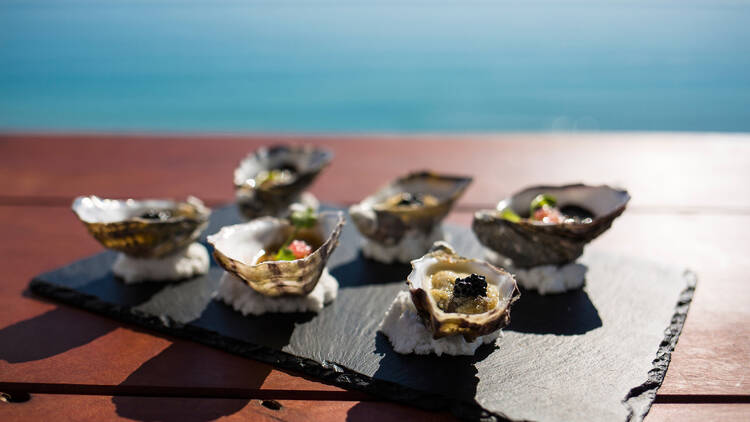 Oysters at Star of Greece