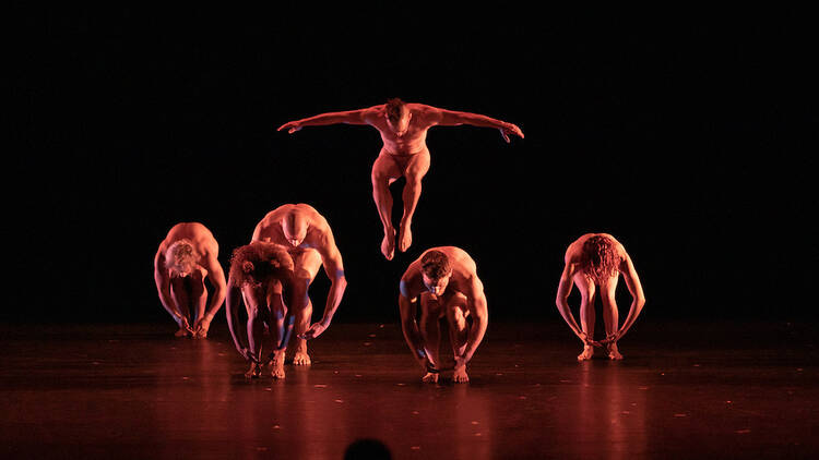 Pilobolus: Big Five-OH