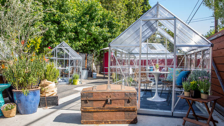 Lady Bryd Cafe Greenhouses