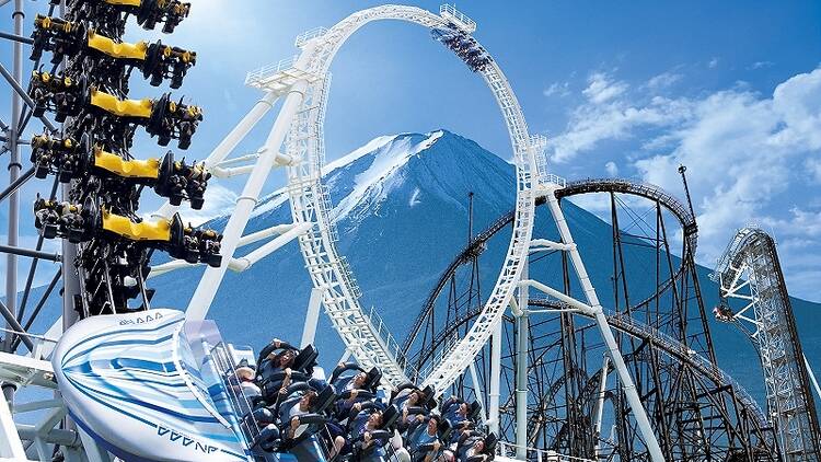 Get your fill of thrills