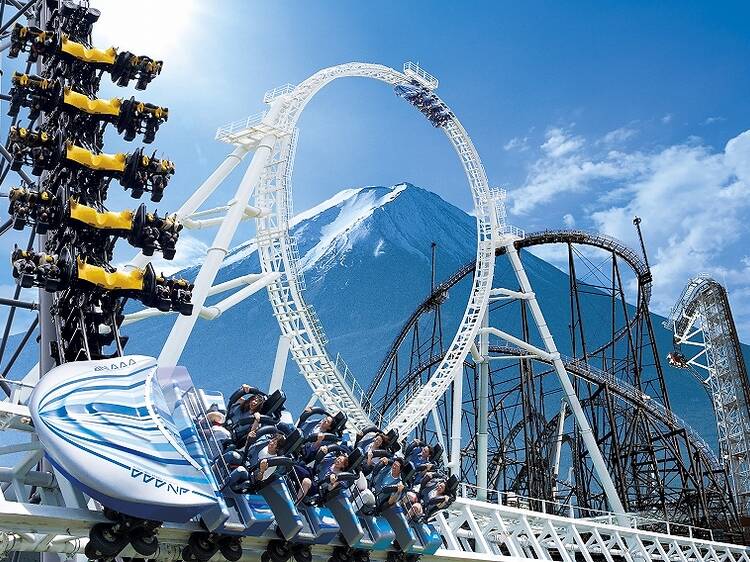 Get your fill of thrills