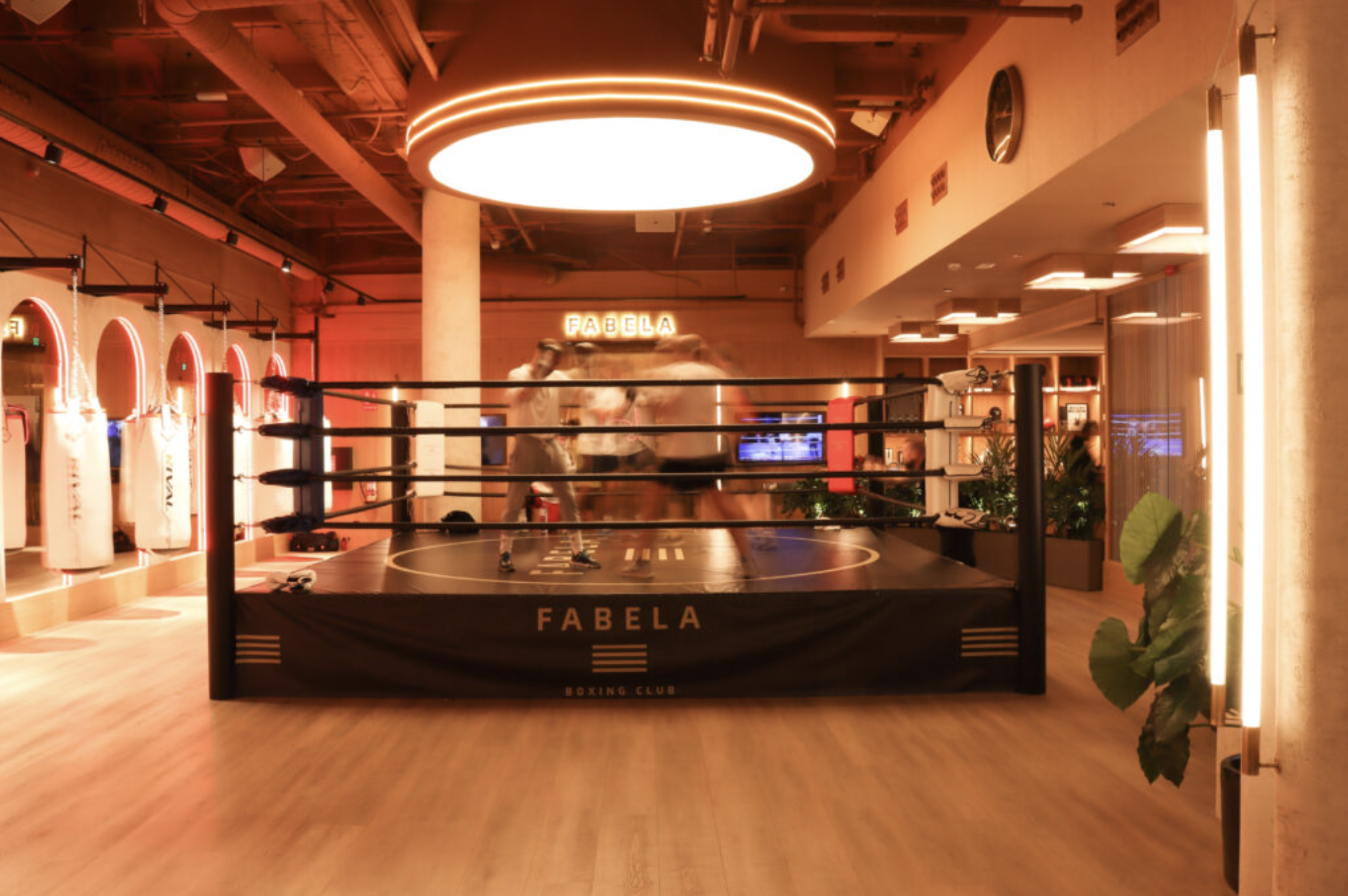 Fabela Boxing Club