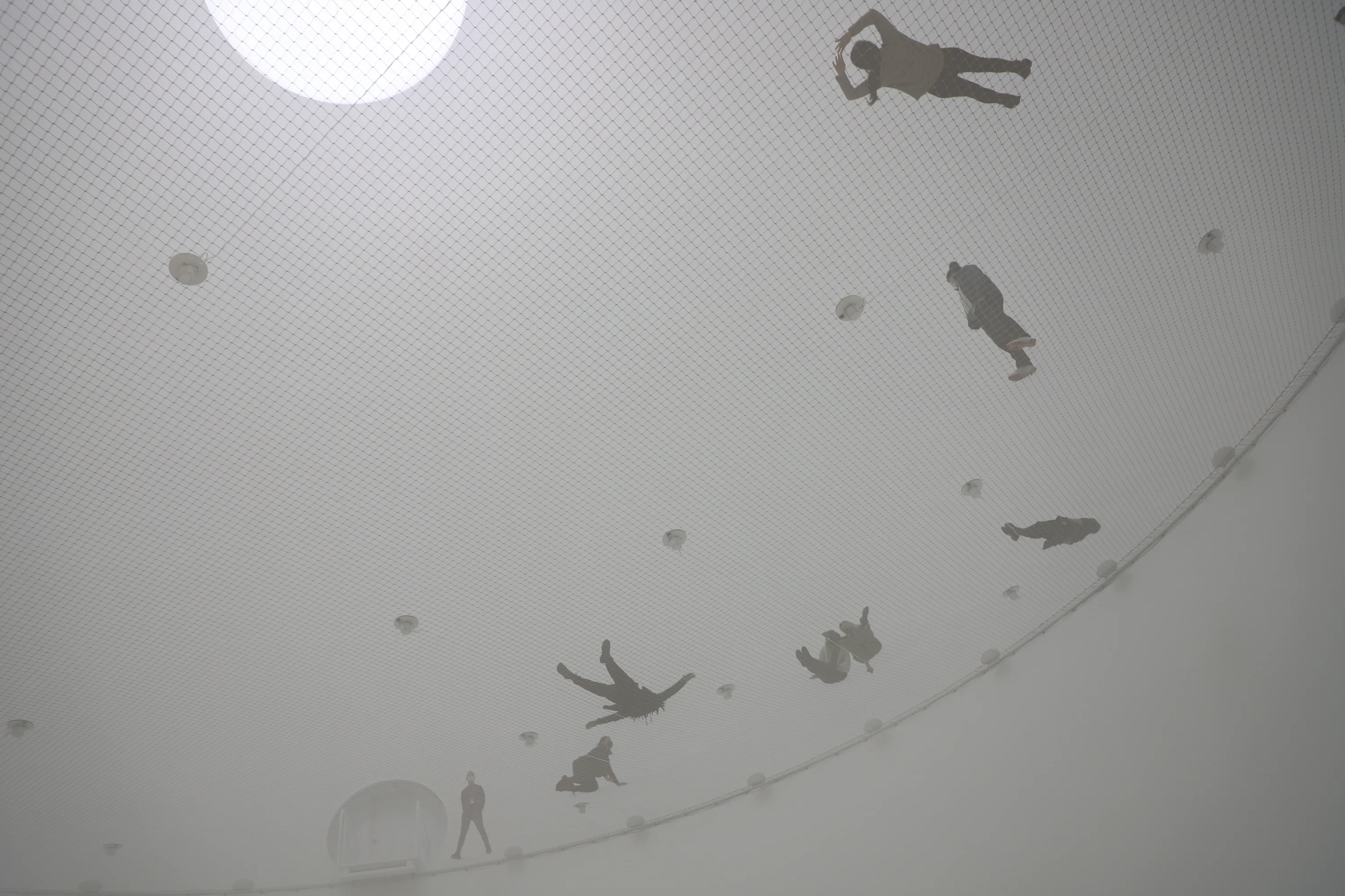 Tomás Saraceno: Particular Matter(s)