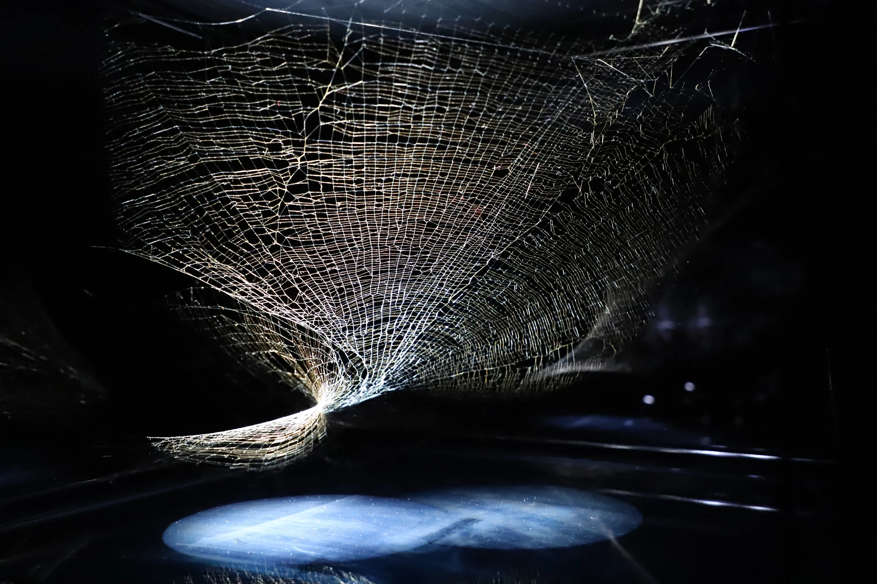 Tomás Saraceno: Particular Matter(s)