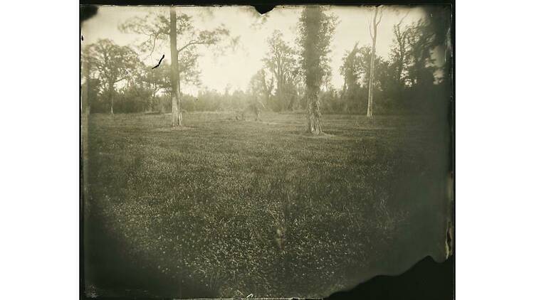 Yojiro Imasaka, #19, 2021, PhotographToned Gelatin Silver Print, Wet Plate Collodion Process, 76 x 102cm, ©THE CLUB