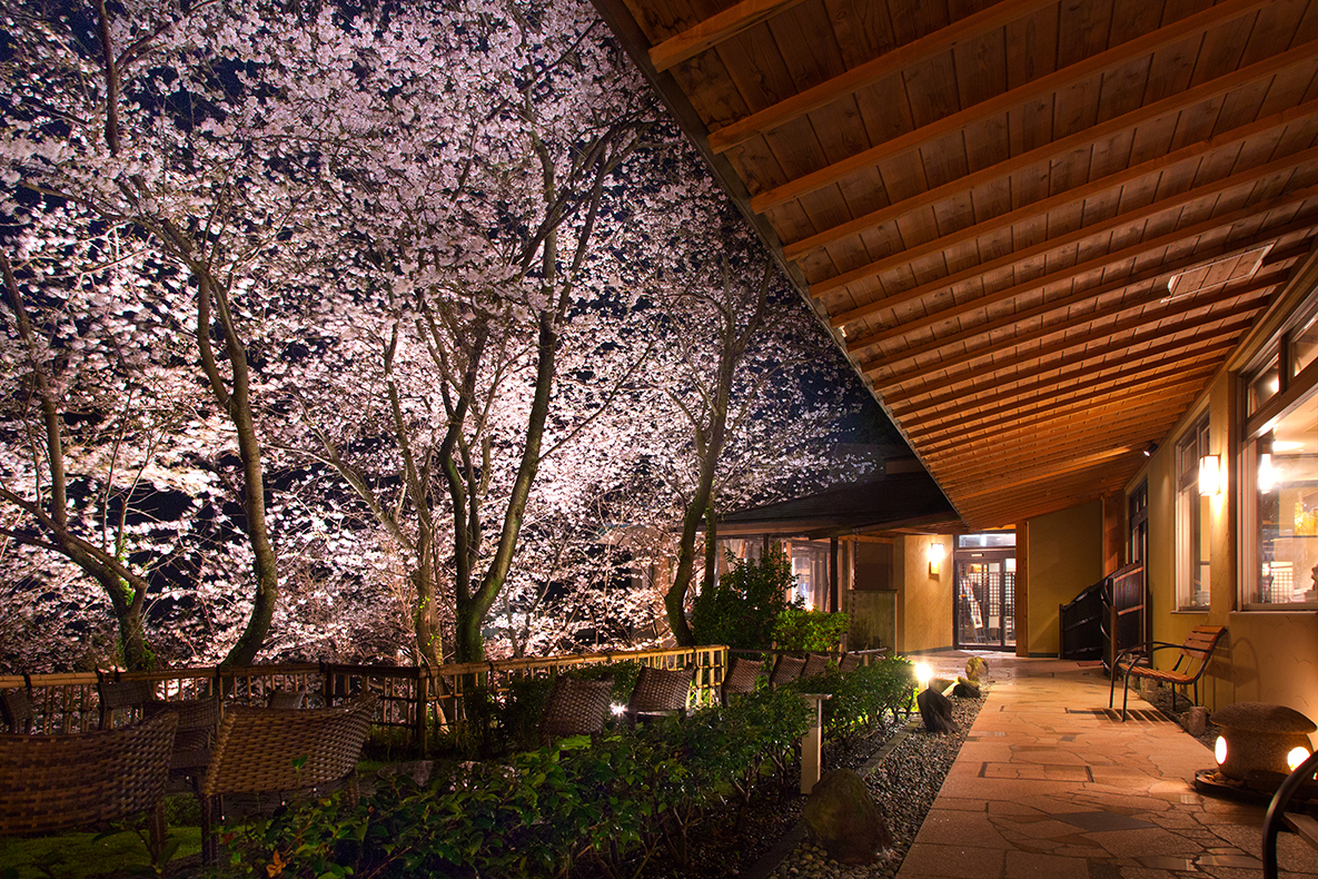 Hotel Kissho Caren in Izu has an outdoor onsen with cherry blossoms and ...