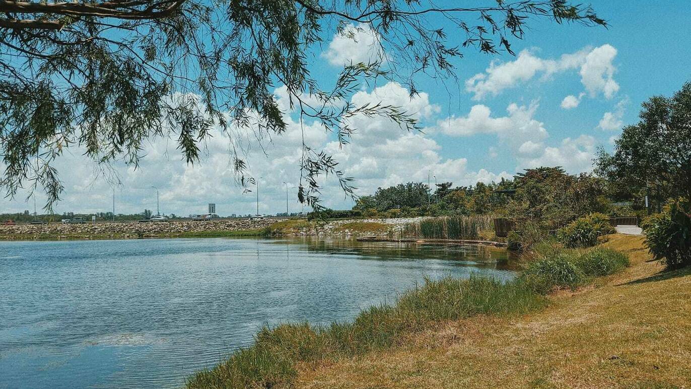 Yishun Dam Nature walk in Singapore