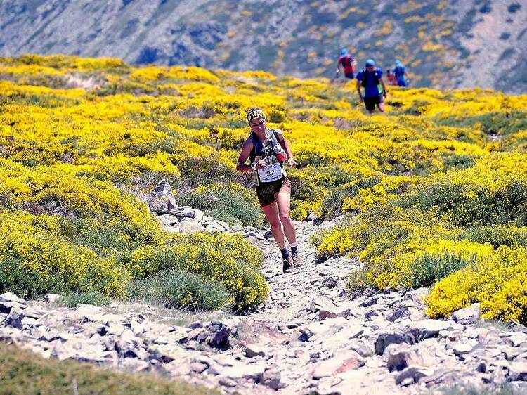 Maratón Alpino Madrileño