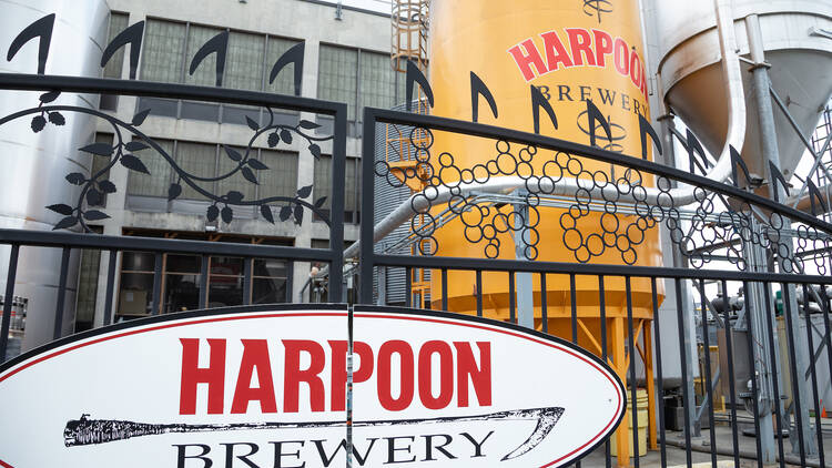 Celebrate at the Harpoon Brewery's St Patrick's Day Festival