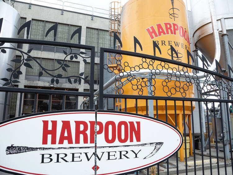 Celebrate at the Harpoon Brewery's St Patrick's Day Festival