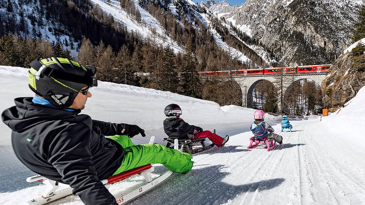 See the world from a toboggan