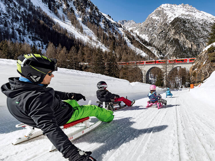 See the world from a toboggan