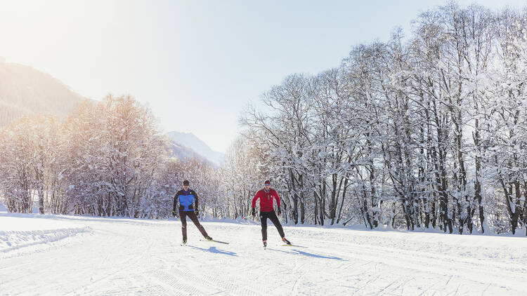 5. Goms cross-country skiing paradise