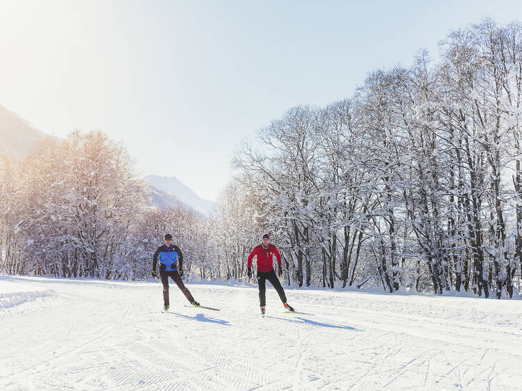 5. Goms cross-country skiing paradise