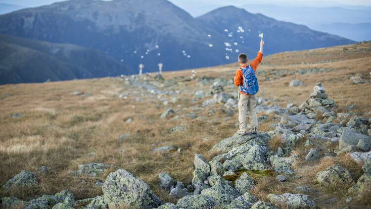 White Mountains