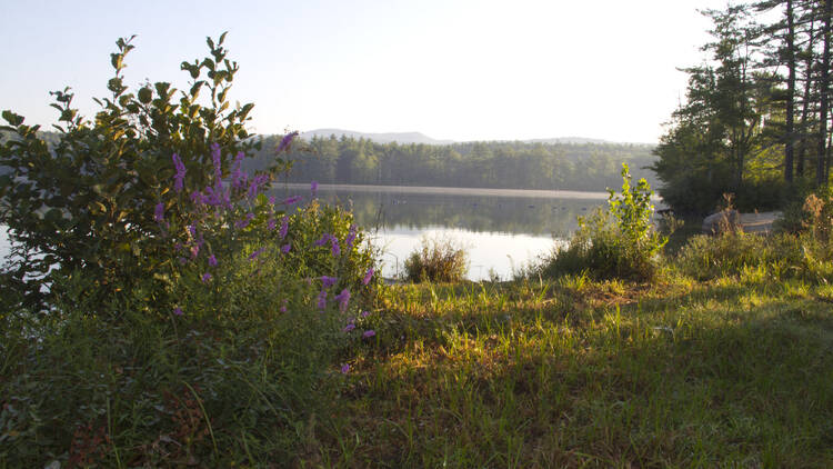 Greenfield State Park