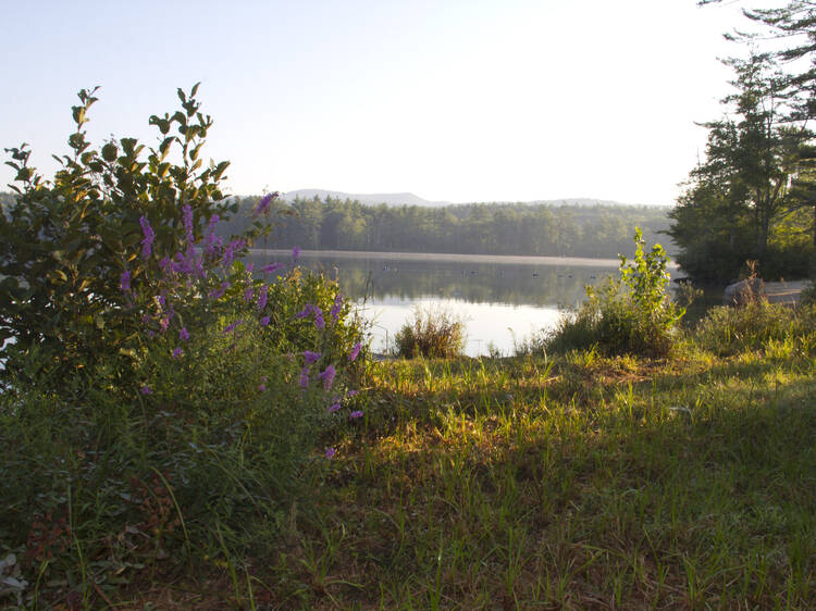 Greenfield State Park