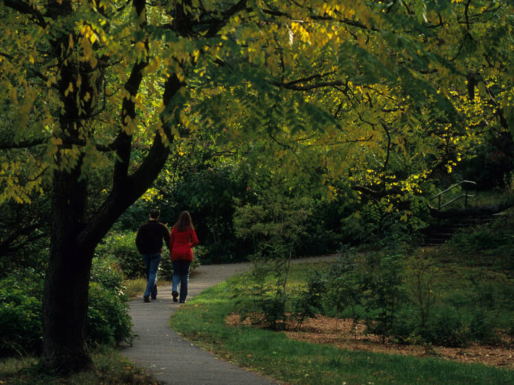 Arnold Arboretum