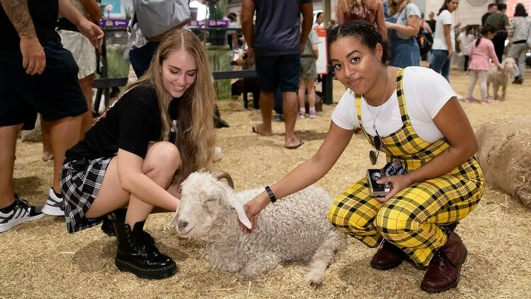 Two women petting a small sheep at the Sydney Royal Easter Show