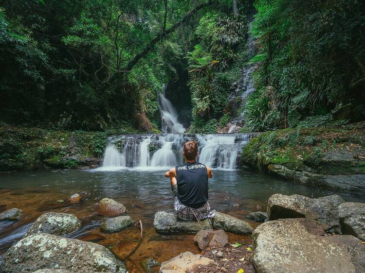 Tamborine Mountain