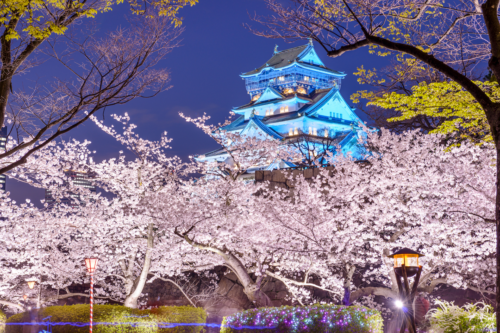 6 best places to see cherry blossoms in Osaka in 2024