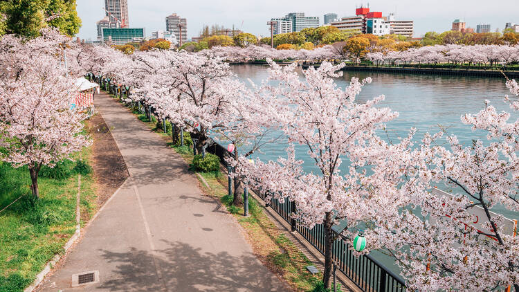 Kema Sakuranomiya Park