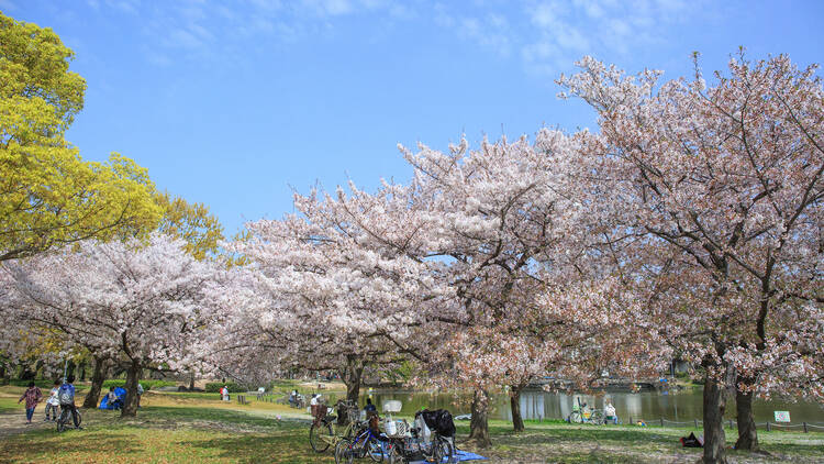 Daisen Park