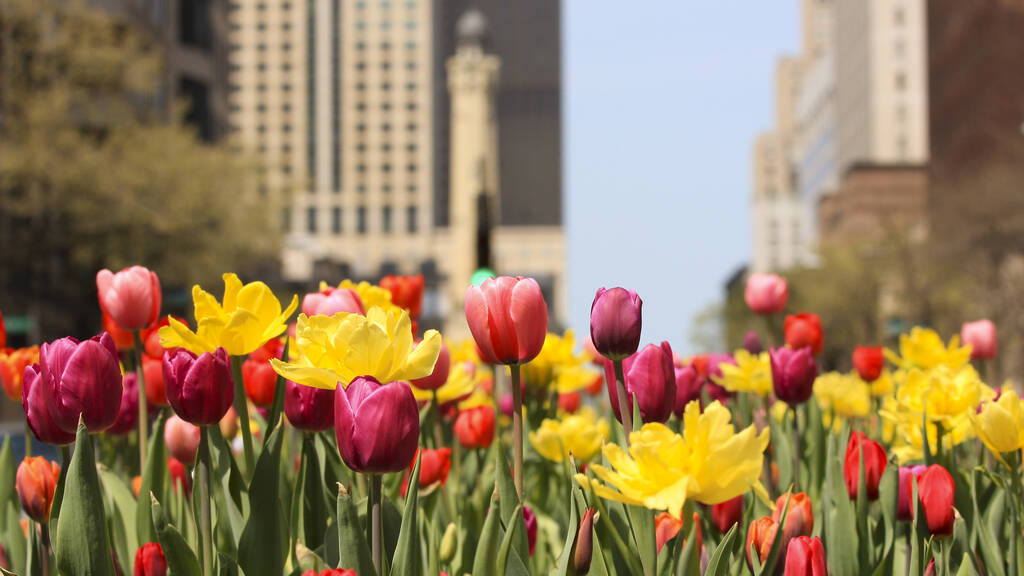 14 signs that it’s nearly spring in Chicago