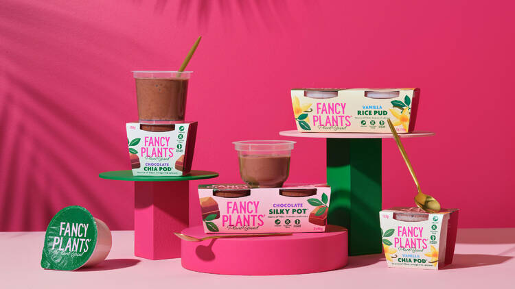 A selection of puddings and chia plants by the brand Fancy Plants on display against a pink background.