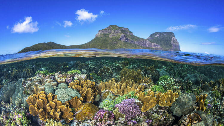 Lord Howe Island