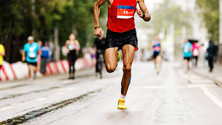 Run the Boston Marathon Course