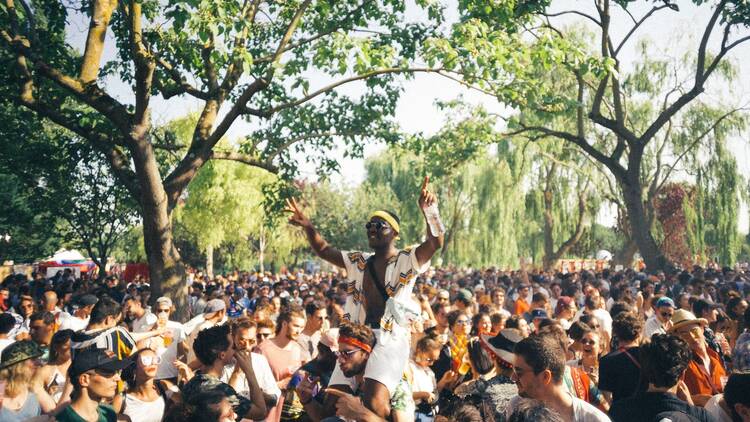 Prendre le Macki (Festival) et la température des courants alternatifs