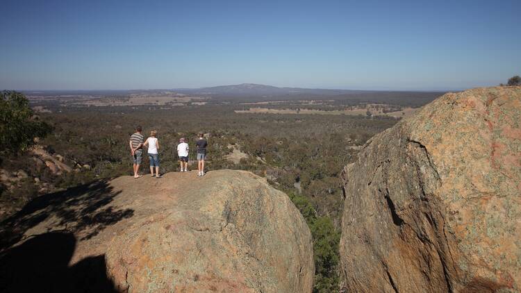 Four people stand on a giant boulder overlooking the bushland of Kooyoora State Park