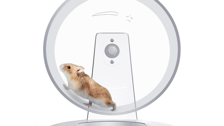 Ultra quiet hamster wheel