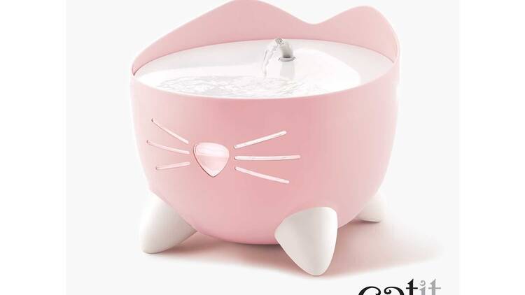 Cat water fountain