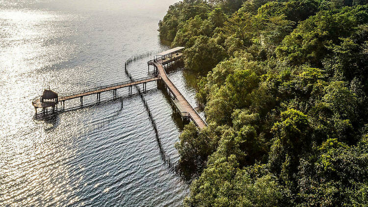 Photograph: Sungei Buloh Wetland Reserve