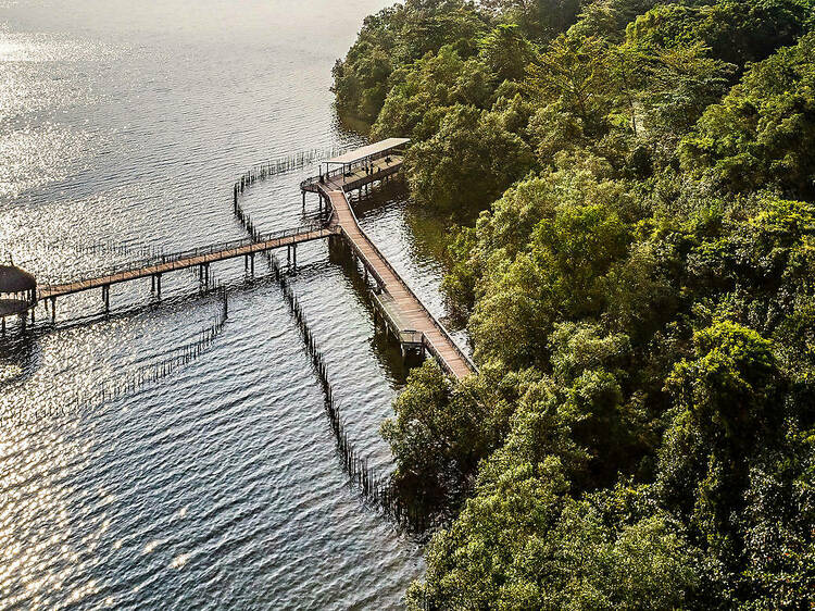 Sungei Buloh Wetland Reserve