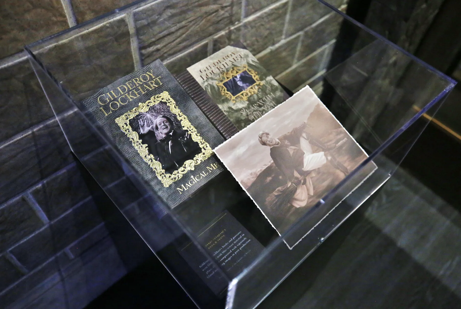 Harry Potter: The Experience