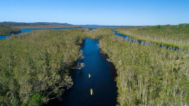 An aerial view of the Noosa Everglades and some canoes